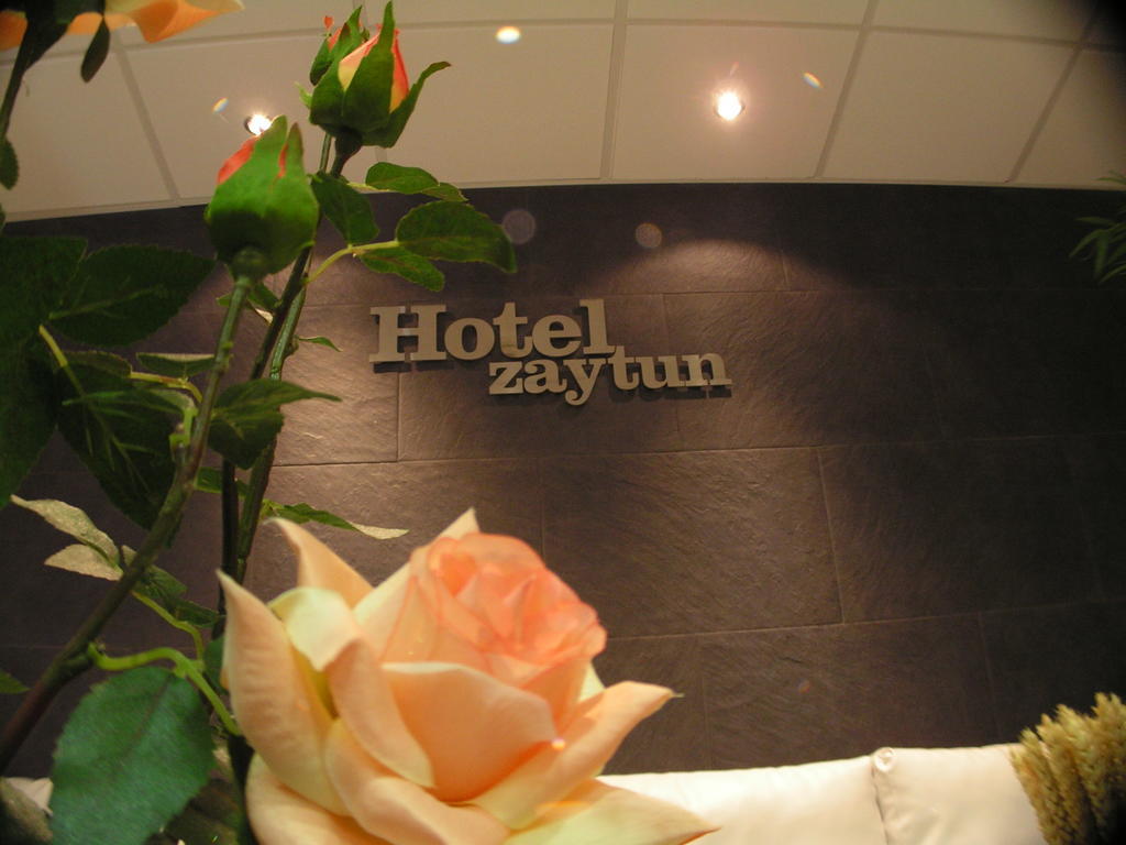 Hotel Zaytun Mequinenza Kültér fotó